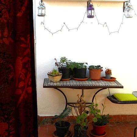 Naturalia: La Casita Con Patio Caceres Ngoại thất bức ảnh