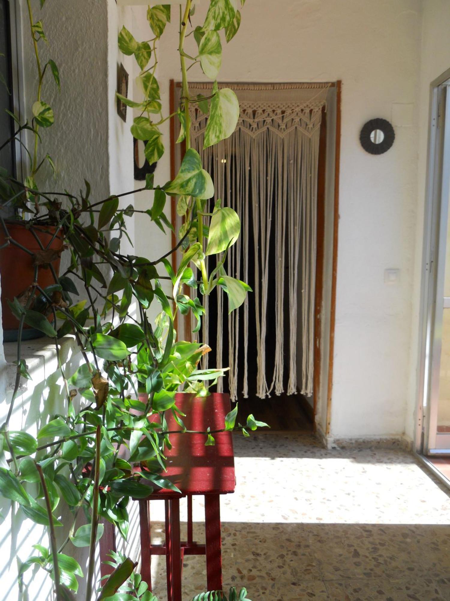 Naturalia: La Casita Con Patio Caceres Ngoại thất bức ảnh