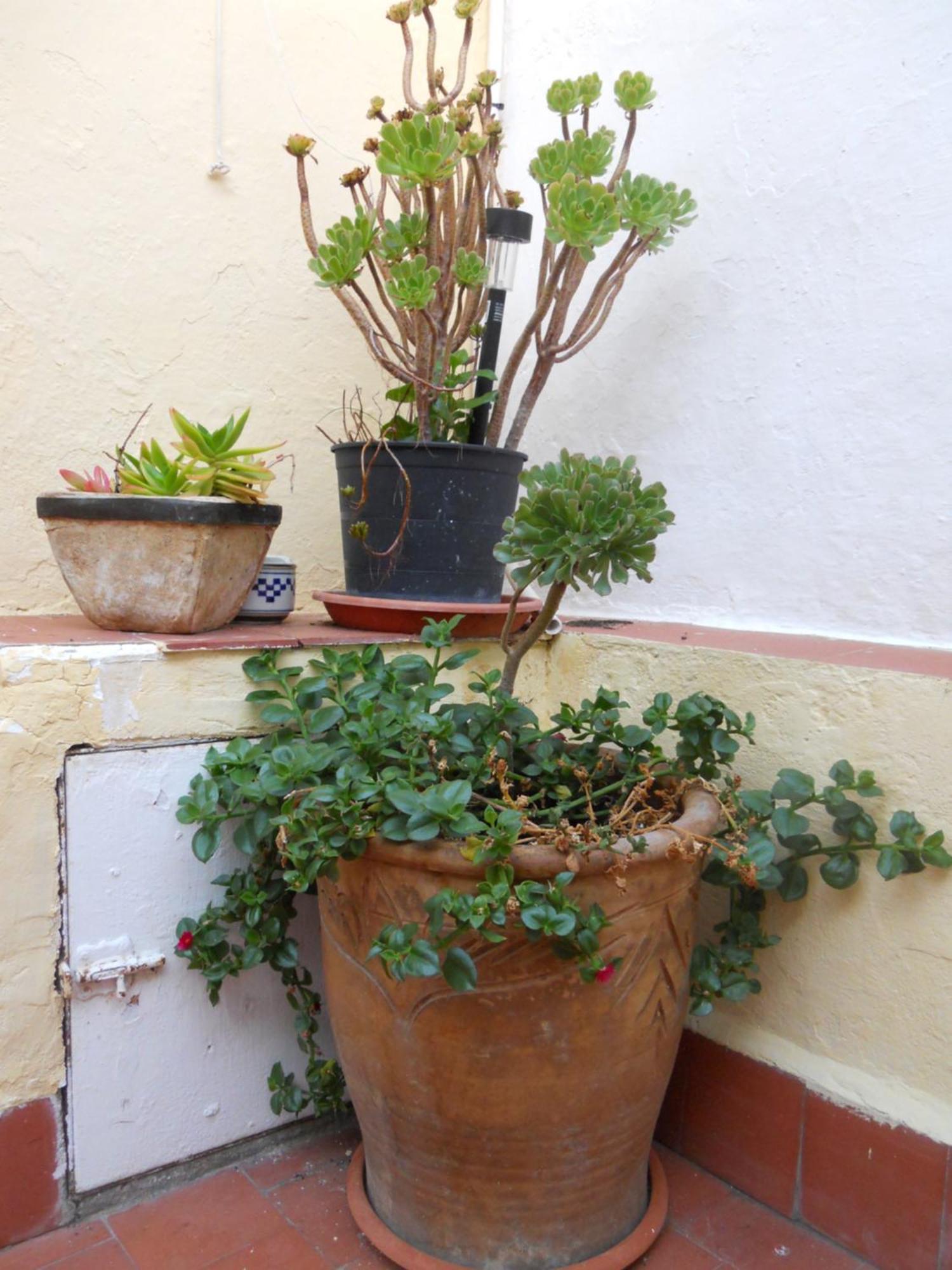 Naturalia: La Casita Con Patio Caceres Ngoại thất bức ảnh